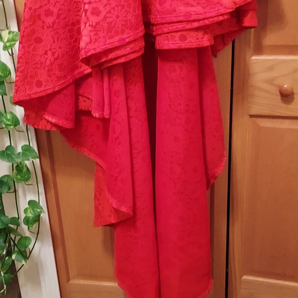 EIEN EUC Red Lace Dress - Picture 4 of 12